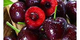 刷新纪录！2022/23季智利出口新鲜车厘子超41万吨，九成运往中国