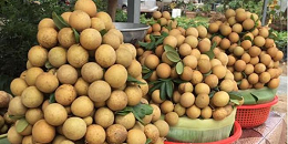 海关总署更新水果准入名单，这7款水果获准入华