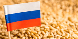 2023年俄罗斯粮食产量将达1.2亿吨 油料作物产量计划达2460万吨