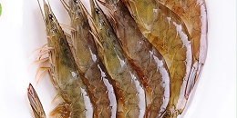 美国虾进口量连续11个月下降，没有好转迹象