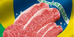 中国与巴西致力于恢复牛肉贸易