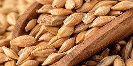 中国商务部：对原产于澳大利亚的进口大麦所适用反倾销和反补贴措施发起复审调查