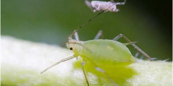 微信截图_20221216093550