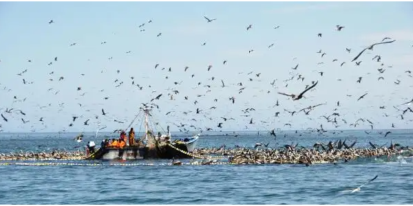 微信截图_20221216094017