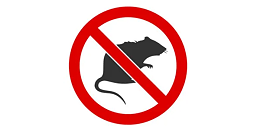 GSP作物科学在印度推出两款氯虫苯甲酰胺杀虫剂产品