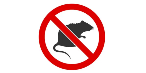 微信截图_20221216093237