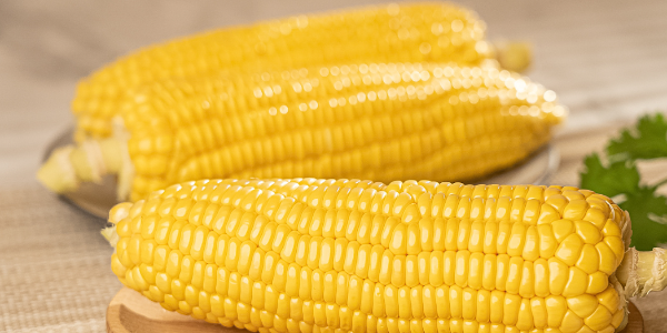 微信截图_20221230105048