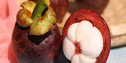 泰南洛坤山竹大量上市