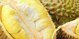 越南榴莲价格结束波动上涨，预计即将迎来降价