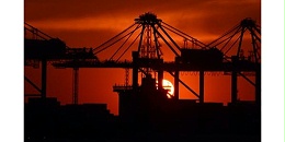 进口报关|海关总署公告2024年第176号（关于修改和废止进境物品管理相关文件的公告）