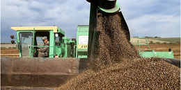 俄罗斯支持将粮食协议期限延长 60 天