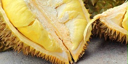 泰南出口榴莲发现蛀虫