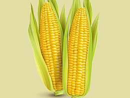 全球饲粮市场：巴西玉米丰产在望，价格跌至33个月新低