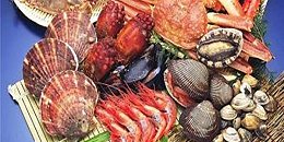 中国放松国外海产品的卫生管制要求