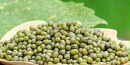 缅甸6个月对外出口绿豆数十万吨，获得1.61亿美元贸易额