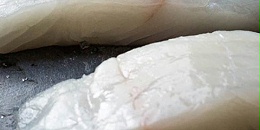 美国狭鳕鱼糜、鱼片产量大幅上升