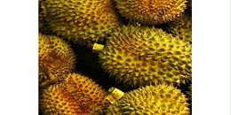 2023年前10月越南榴莲出口创汇可达20亿美元左右