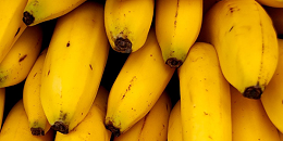 香蕉正贸进口增长，菲律宾在华市场份额不保