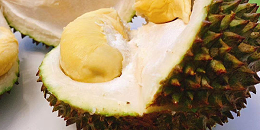 经越南老街口岸出口的榴莲大幅增加