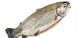 前5月中国是智利鲑鳟鱼第五大出口目的地