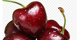 智利圣安东尼奥国际码头本季车厘子运输量将翻番