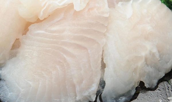 今年上半年乌拉圭鱼类出口达到七年来的最高水平