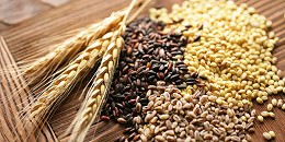 越南扩大优质大米出口