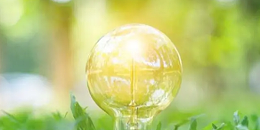 欧洲消费者组织呼吁严禁食品使用漂绿声明