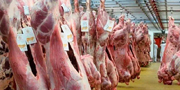 阿根廷暂停鸡肉和鸡蛋出口