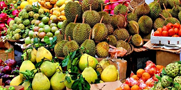 泰政府制定今年水果出口目标444万吨，采取严格措施禁止生榴莲出口