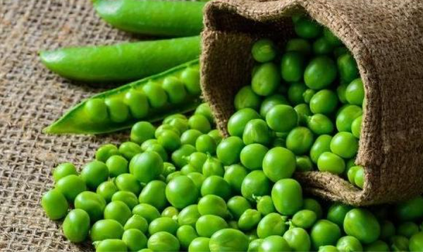 俄能够帮助中国弥补其他国家对华豌豆出口下降带来的缺口