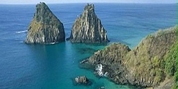 IHARA在巴西推出新型杀虫剂CHASER EW (唑虫酰胺)