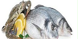 俄专家：俄罗斯鱼类和海产品出口商需要为中国市场开发新商品