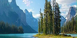 加拿大圣劳伦斯湾北极虾数量快速下降