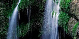 委内瑞拉计划加强养殖虾出口量以跻身世界前十位