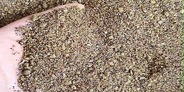 俄托木斯克州向中国出口5500多吨菜粕