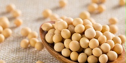 1月巴西大豆对华出口量同比下降74%