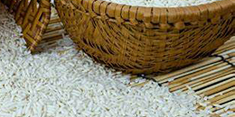 菲总统马科斯要求利用大米竞争力增强基金援助稻农