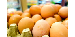 2月斯洛伐克鸡蛋价格同比上涨近79%，位列欧盟第三