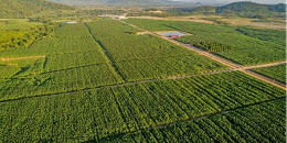 2022年中柬农业合作要事回顾