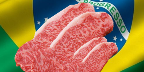 微信截图_20230227084658