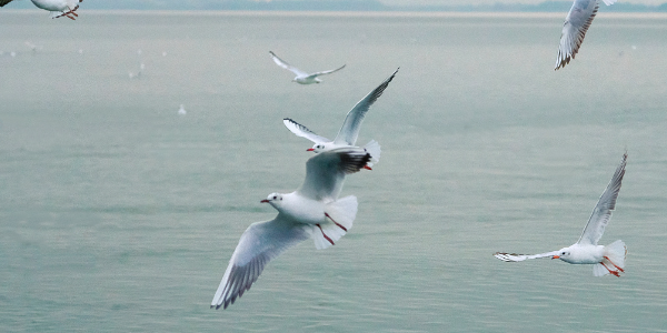 QQ截图20221225112550