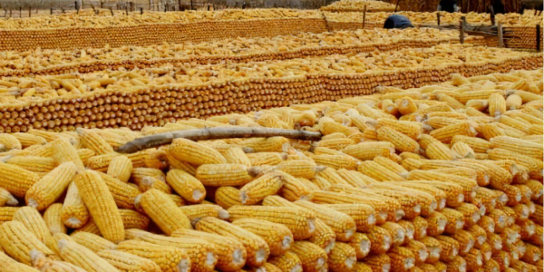 QQ截图20221225111846