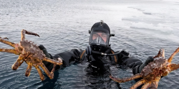 微信截图_20221226093514