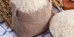 我国40吨大米成功抵达俄罗斯哈巴罗夫斯克