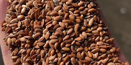 俄农产品出口发展中心：2022年中国成为俄罗斯亚麻籽的主要购买国