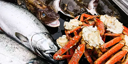 预计2023年阿拉斯加底栖鱼产量约200万吨