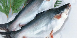 越南对德国的查鱼出口额呈两位数增长