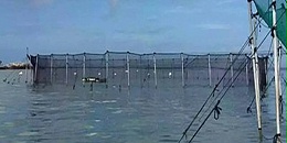 越南派水产养殖业代表团对荷兰进行工作访问