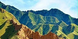 哈萨克斯坦重要民生食品价格指数上周保持不变